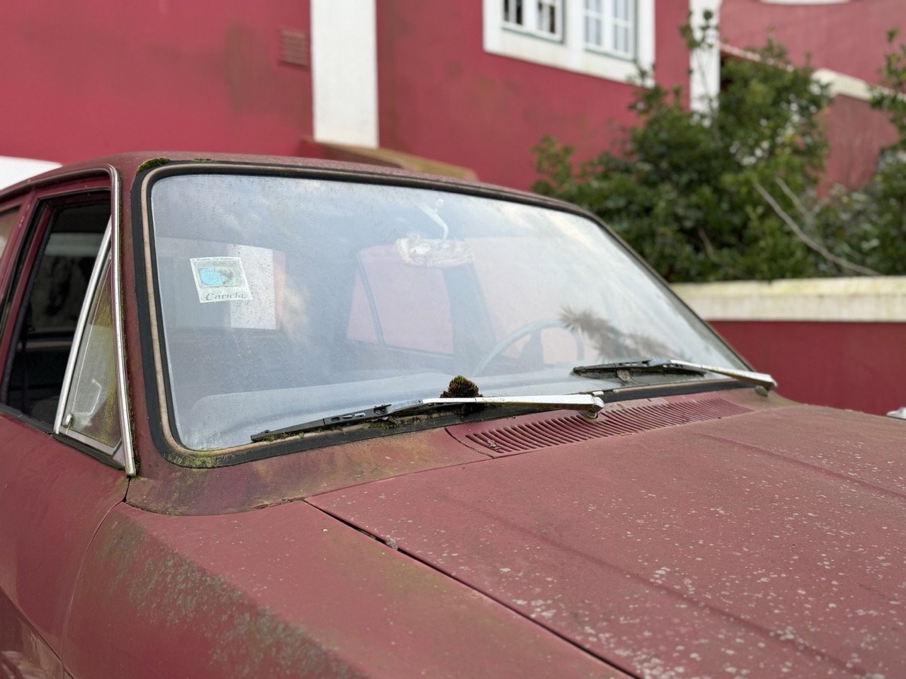 IMG_8977 – grande.jpeg