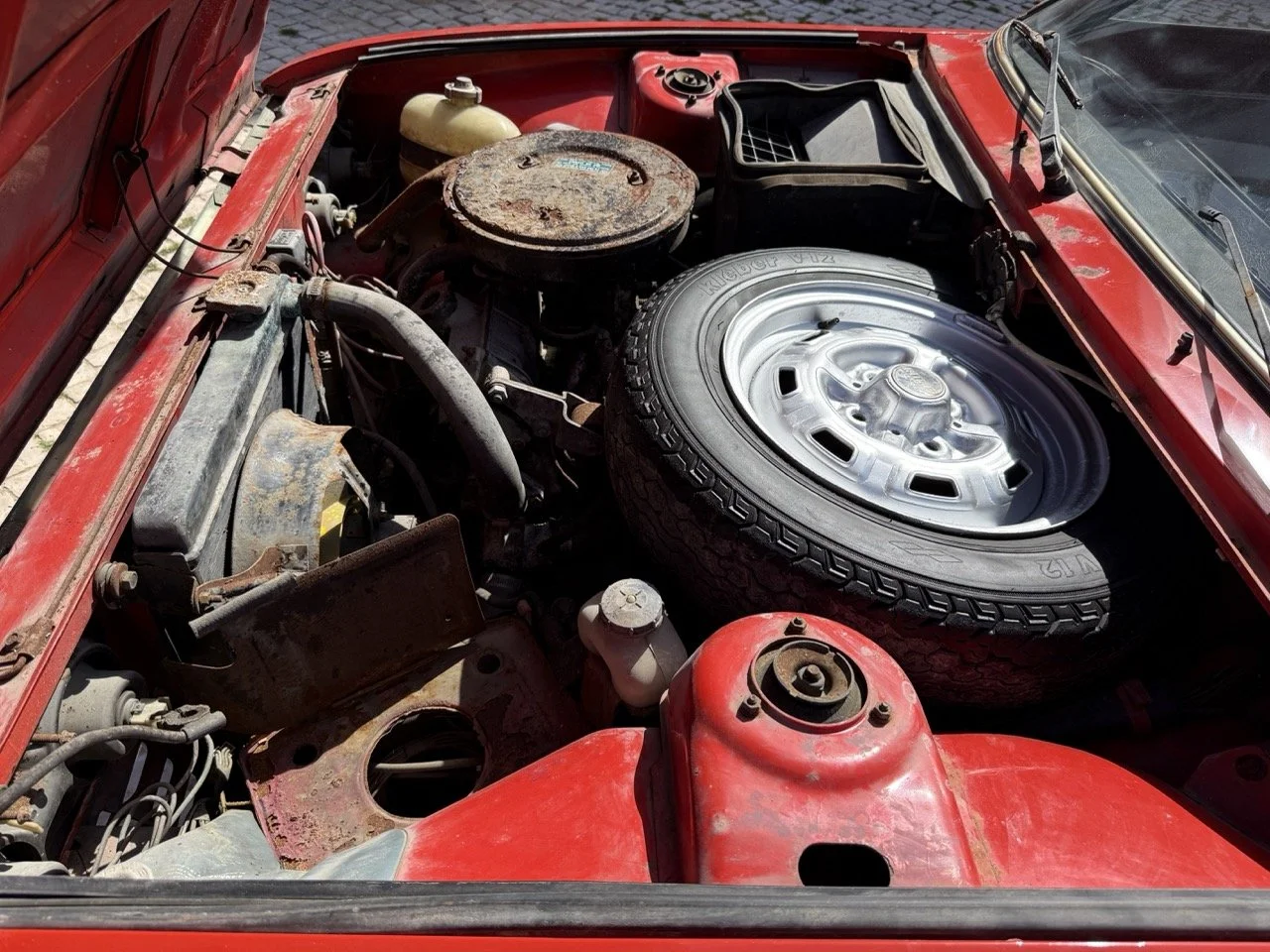 IMG_2286 – grande.jpeg