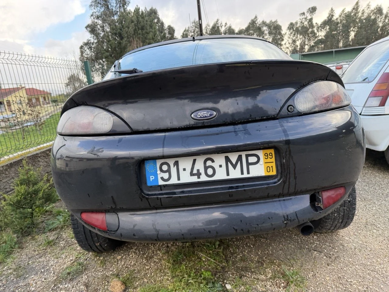 IMG_5333 – grande.jpeg