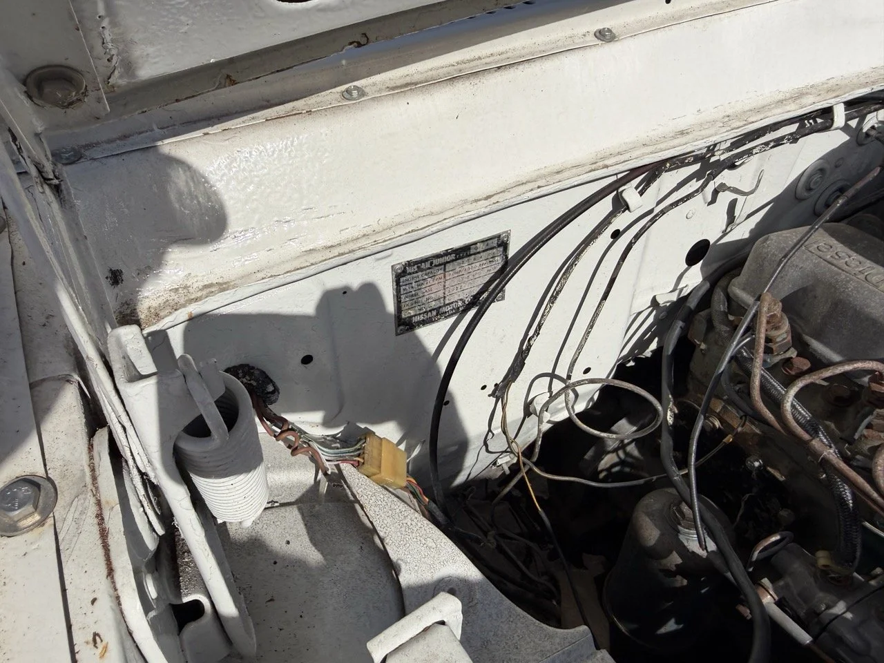 IMG_8614 2 – grande.jpeg