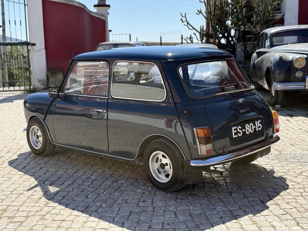 IMG_7839 – grande.jpeg