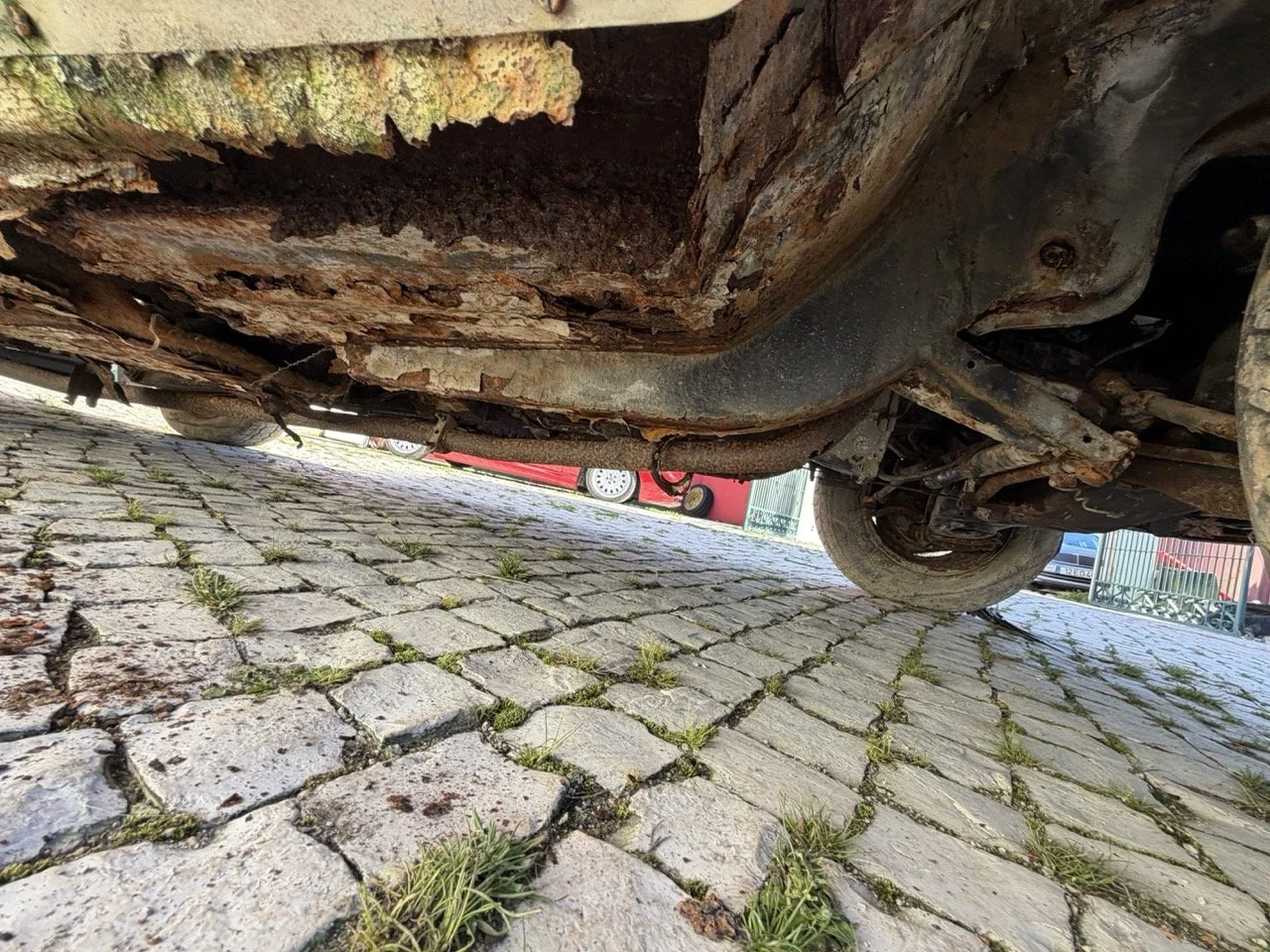 IMG_7069 – grande.jpeg