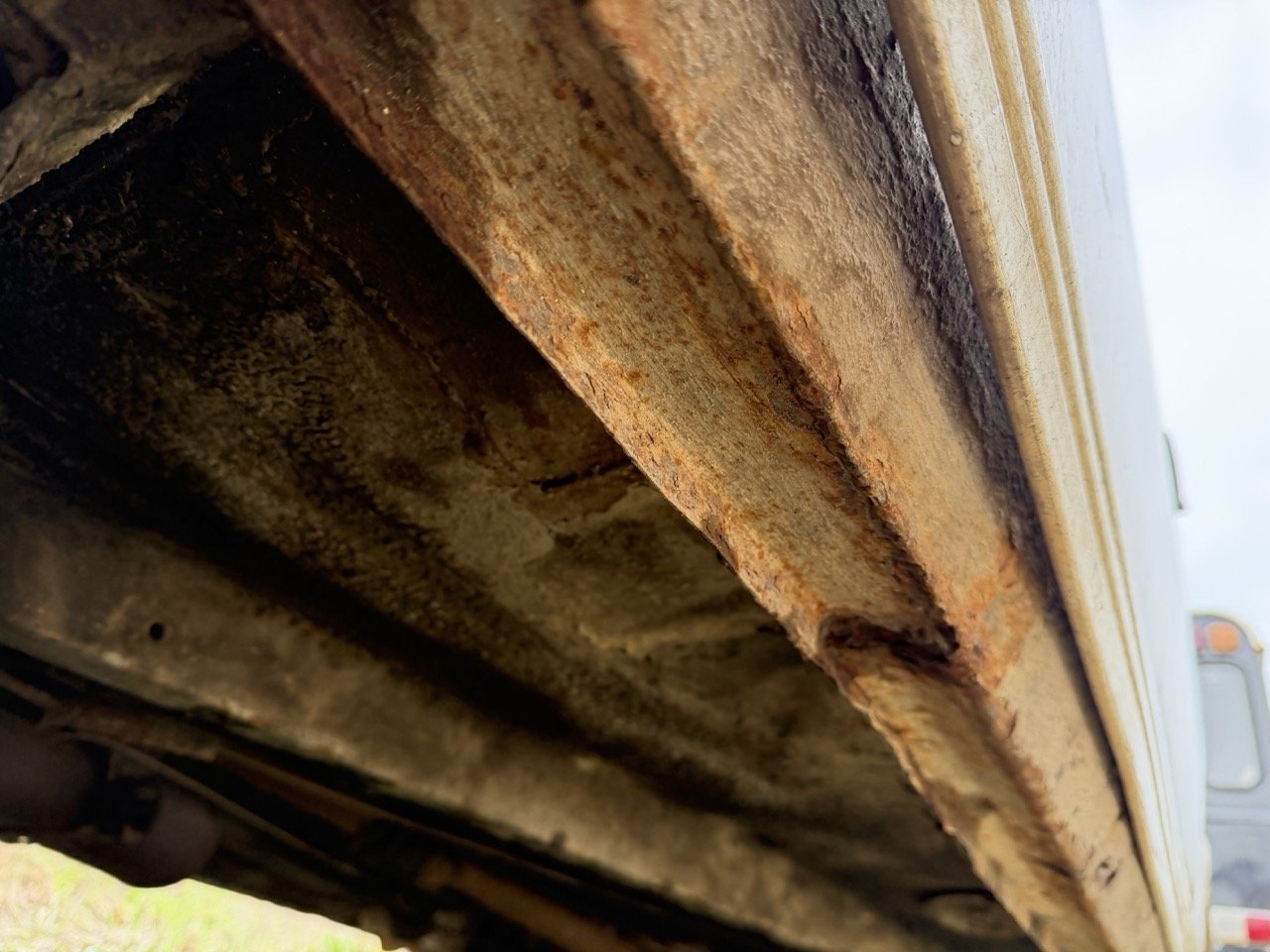 IMG_4904 – grande.jpeg