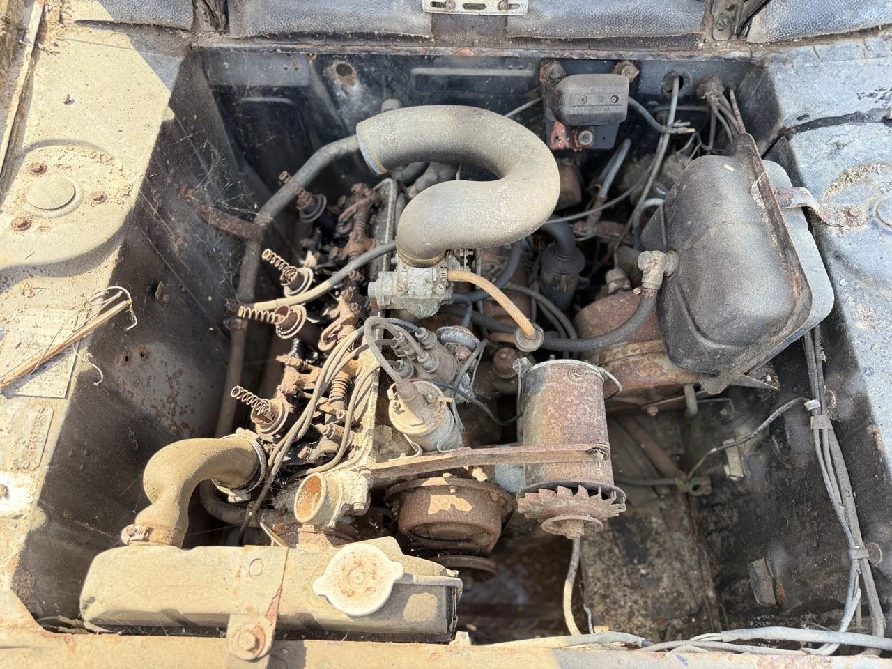 IMG_3489 – grande.jpeg