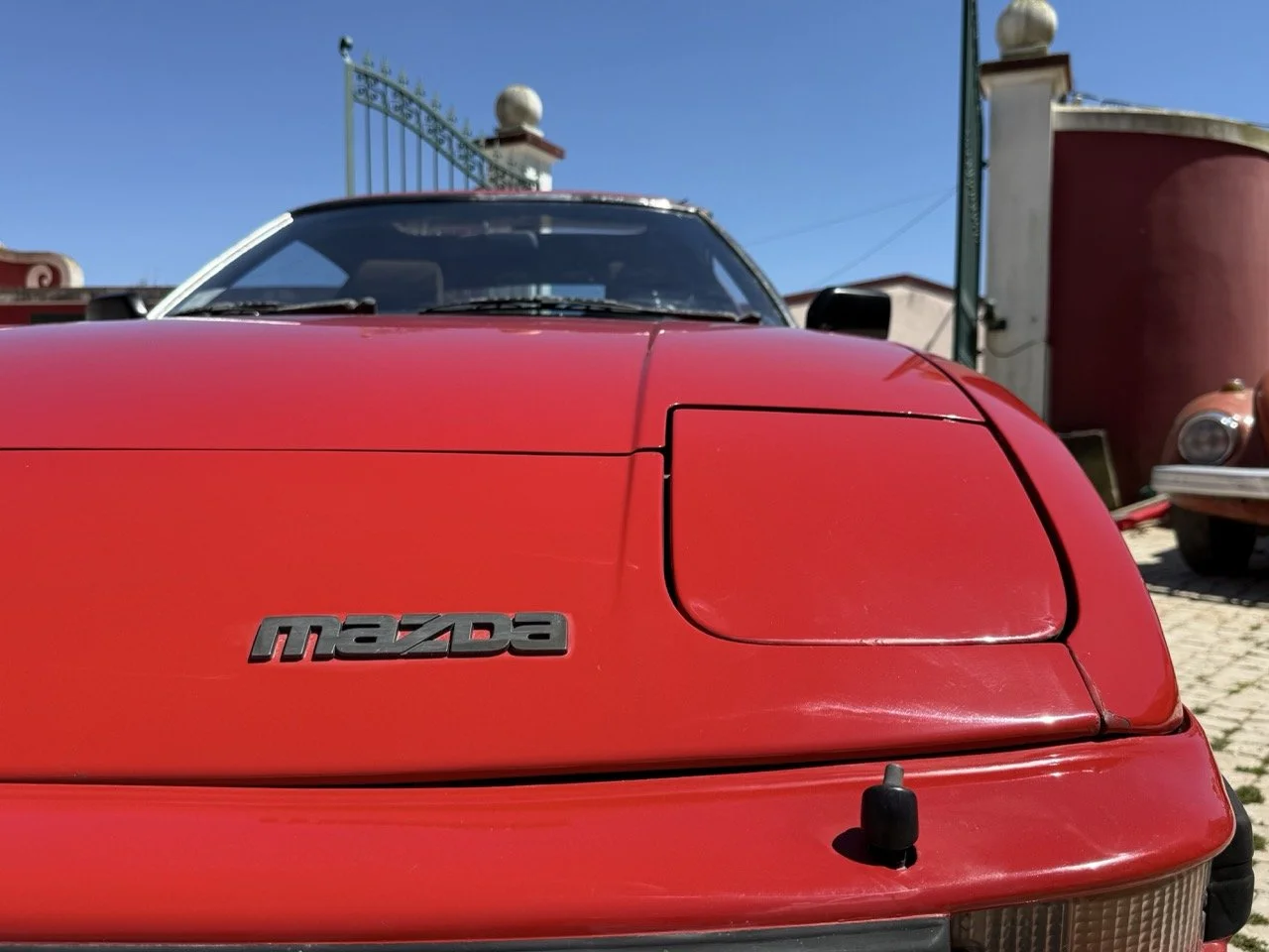 IMG_2097 – grande.jpeg