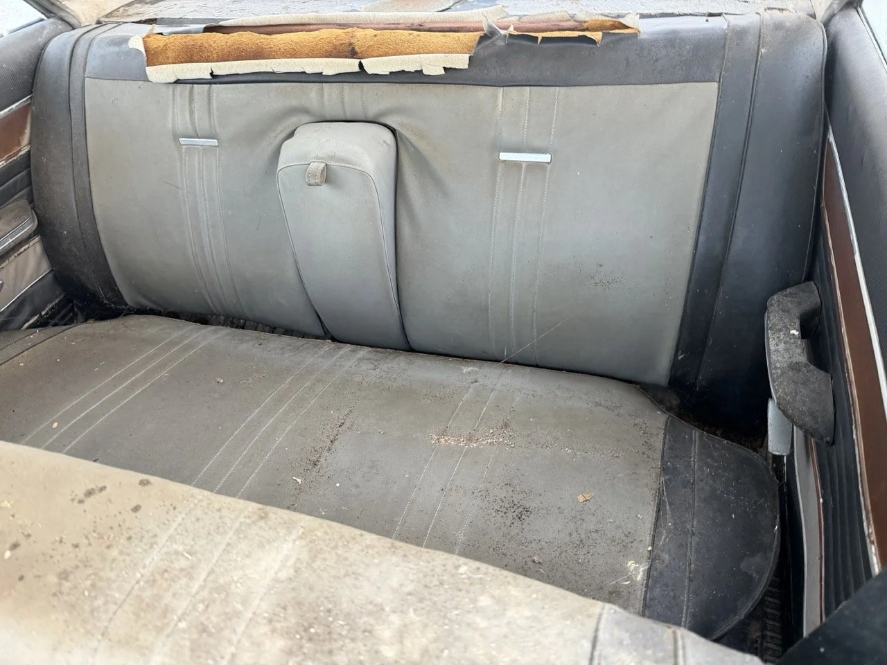 IMG_4085 – grande.jpeg