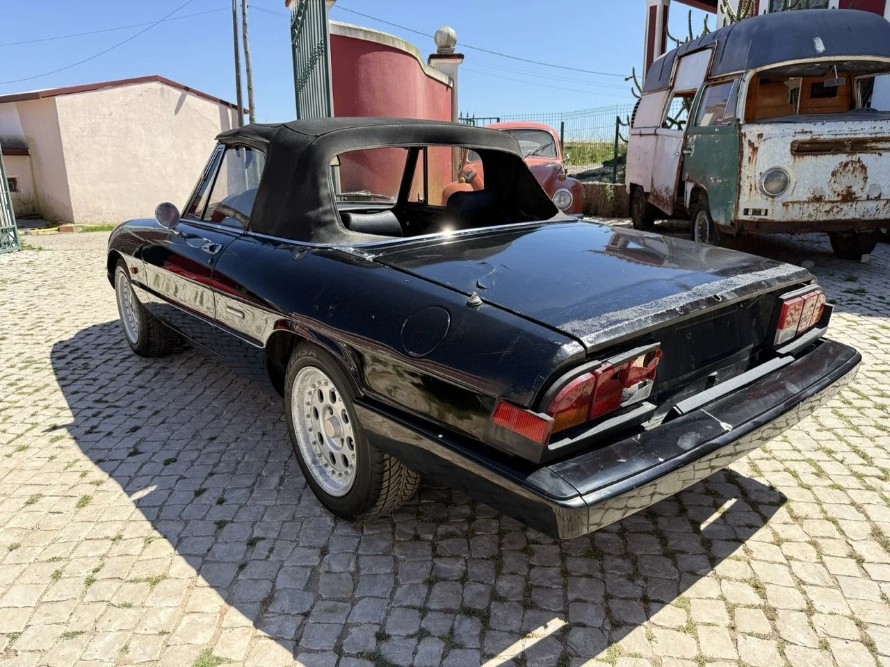 IMG_2135 – grande.jpeg