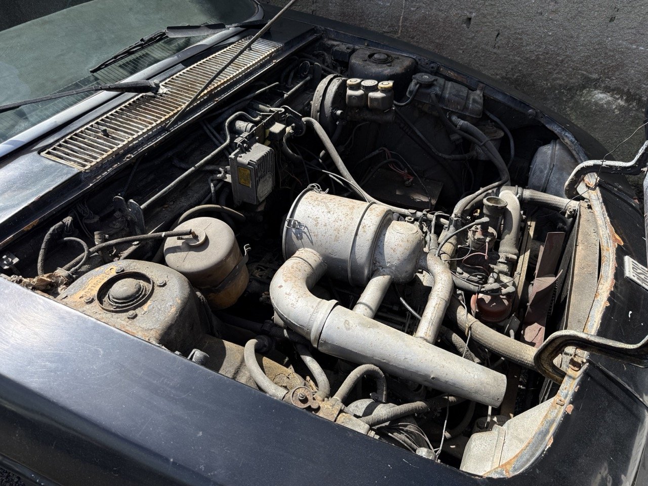 IMG_0570 – grande.jpeg