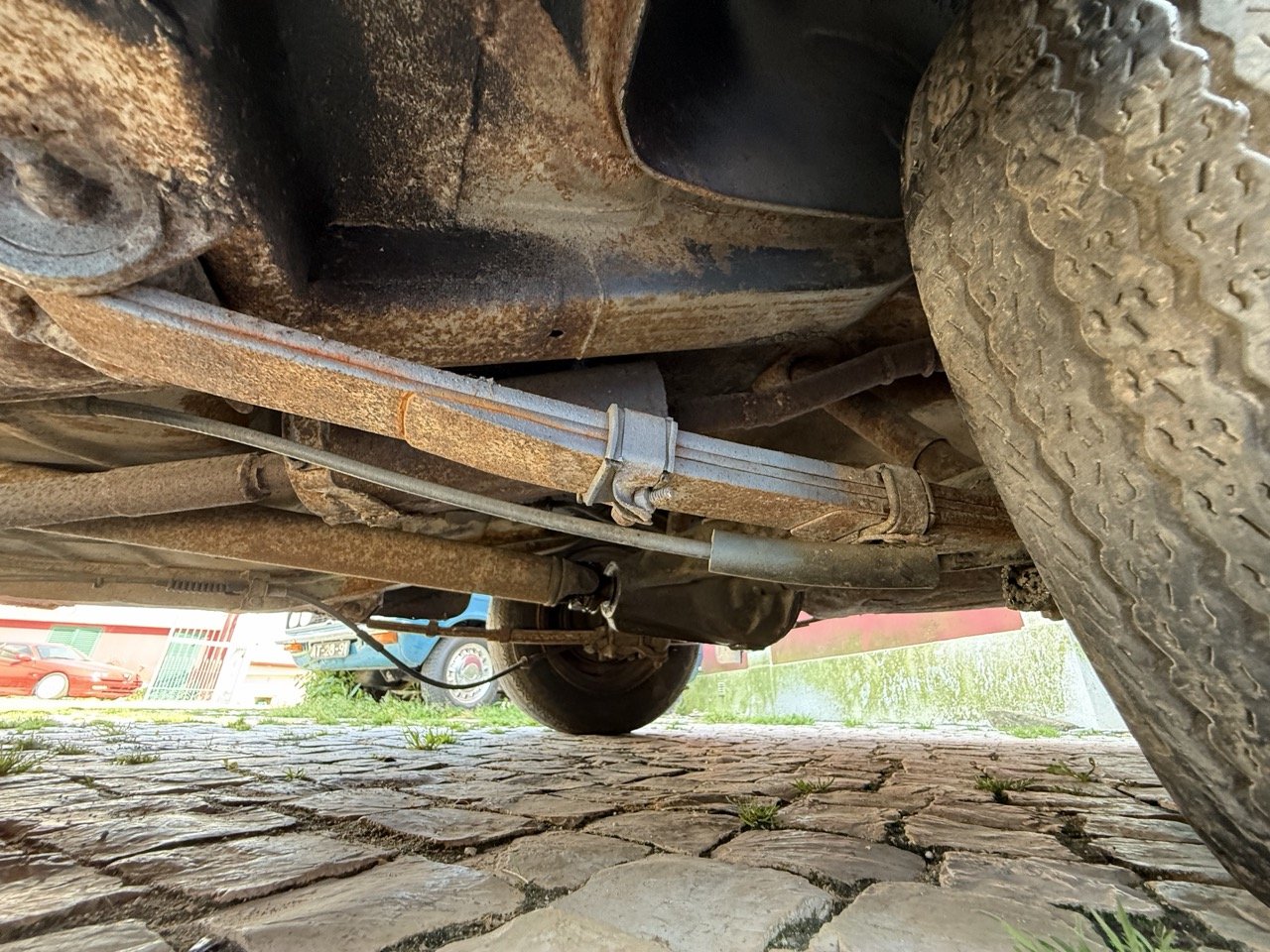 IMG_3569 – grande.jpeg