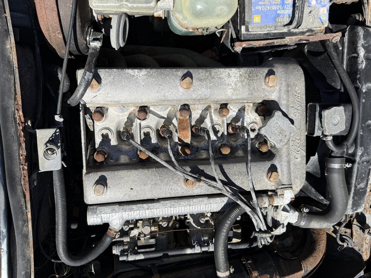 IMG_2219 – grande.jpeg