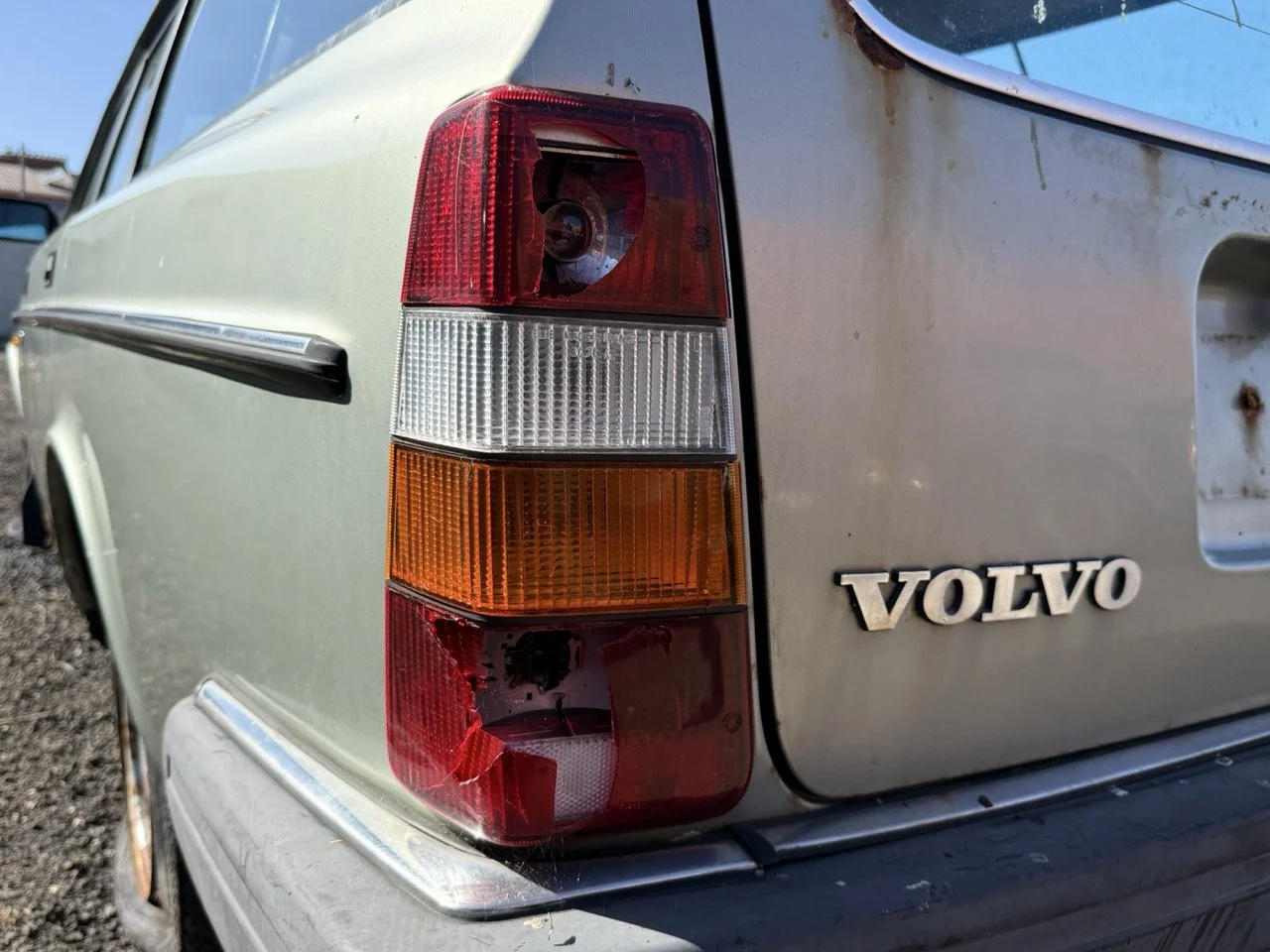 IMG_1188 – grande.jpeg