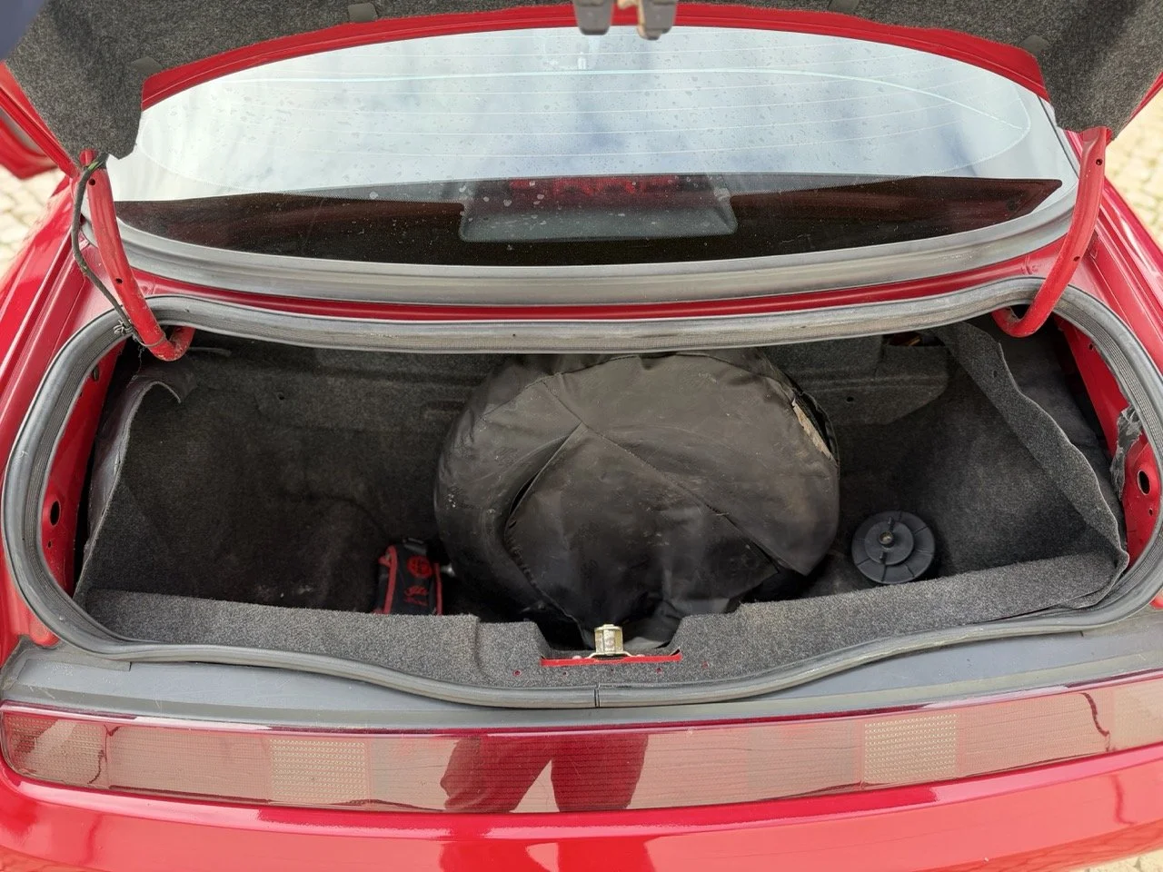 IMG_2283 – grande.jpeg