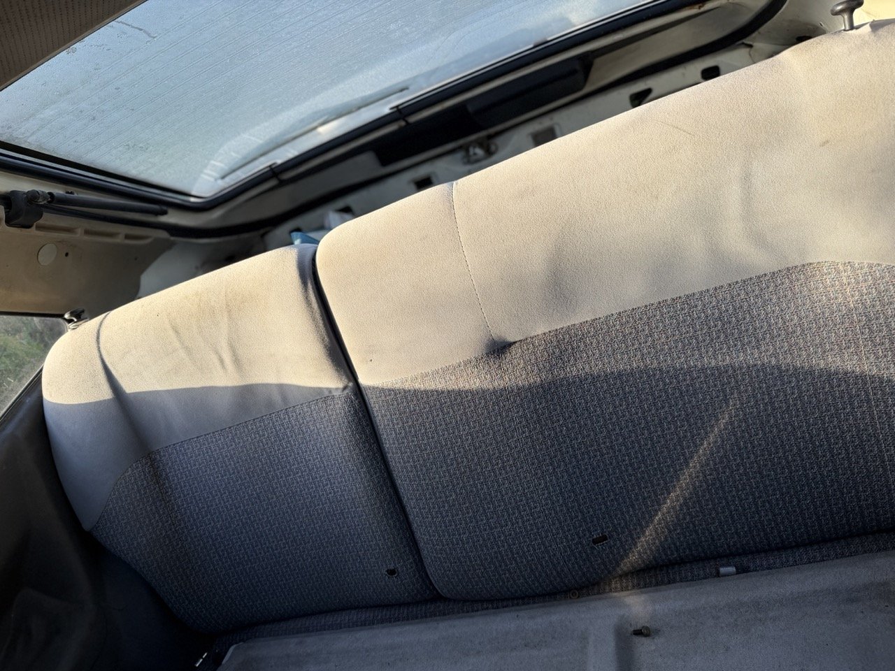 IMG_4101 – grande.jpeg