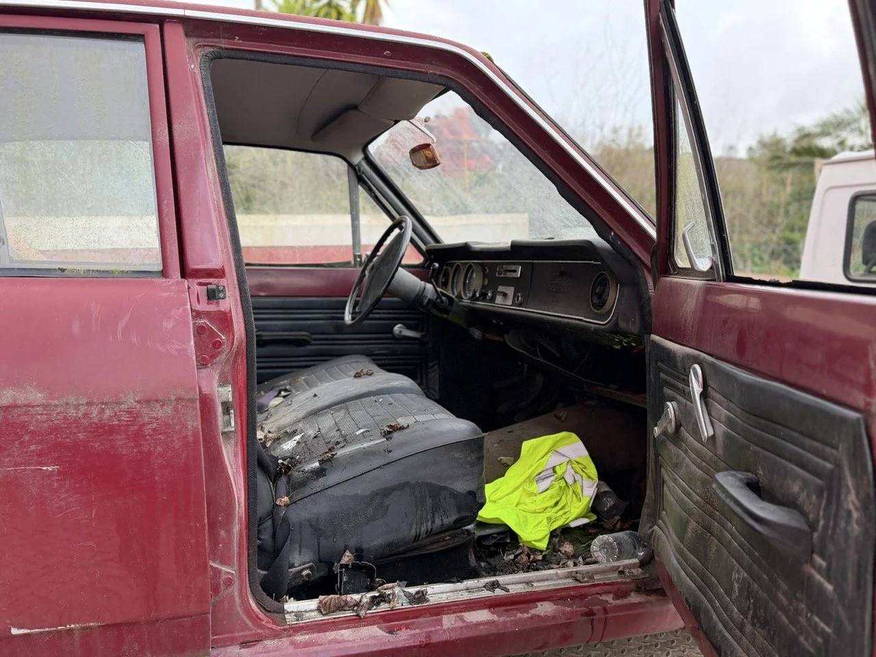 IMG_8969 – grande.jpeg