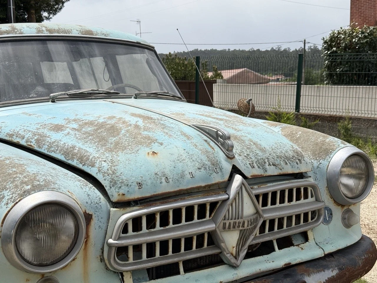 IMG_1377 – grande.jpeg