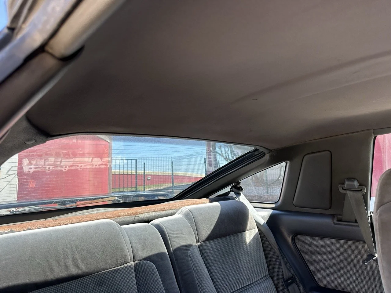 IMG_3057 – grande.jpeg