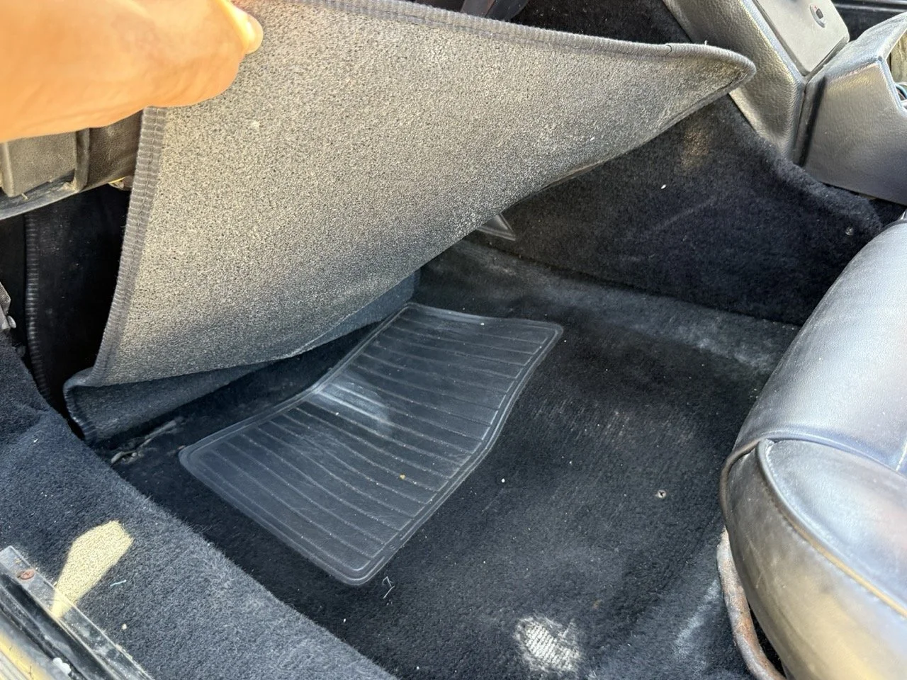 IMG_2188 – grande.jpeg