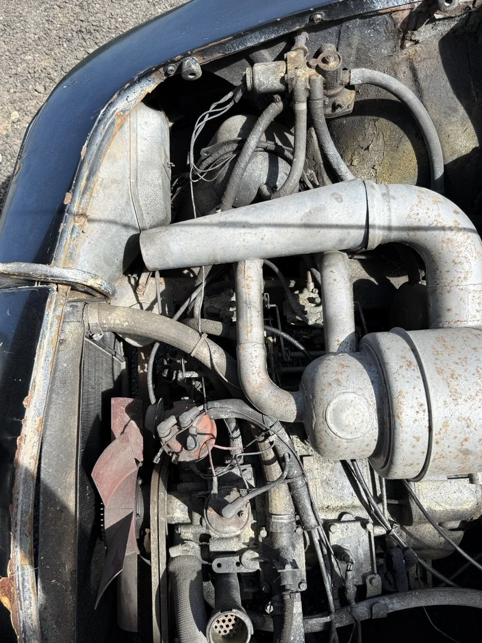 IMG_0614 – grande.jpeg