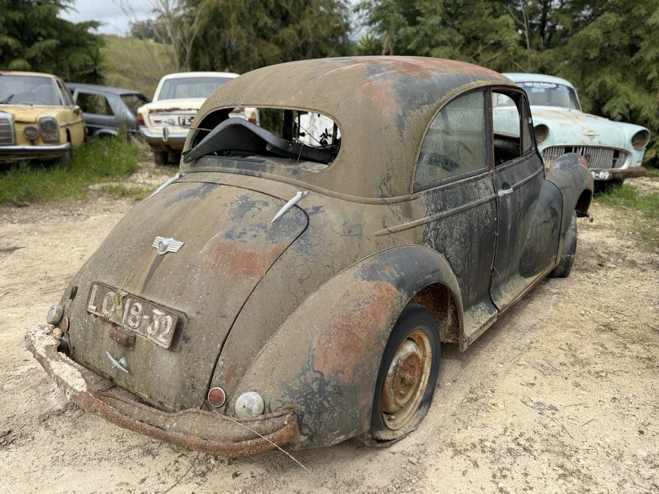 IMG_3834 – grande.jpeg