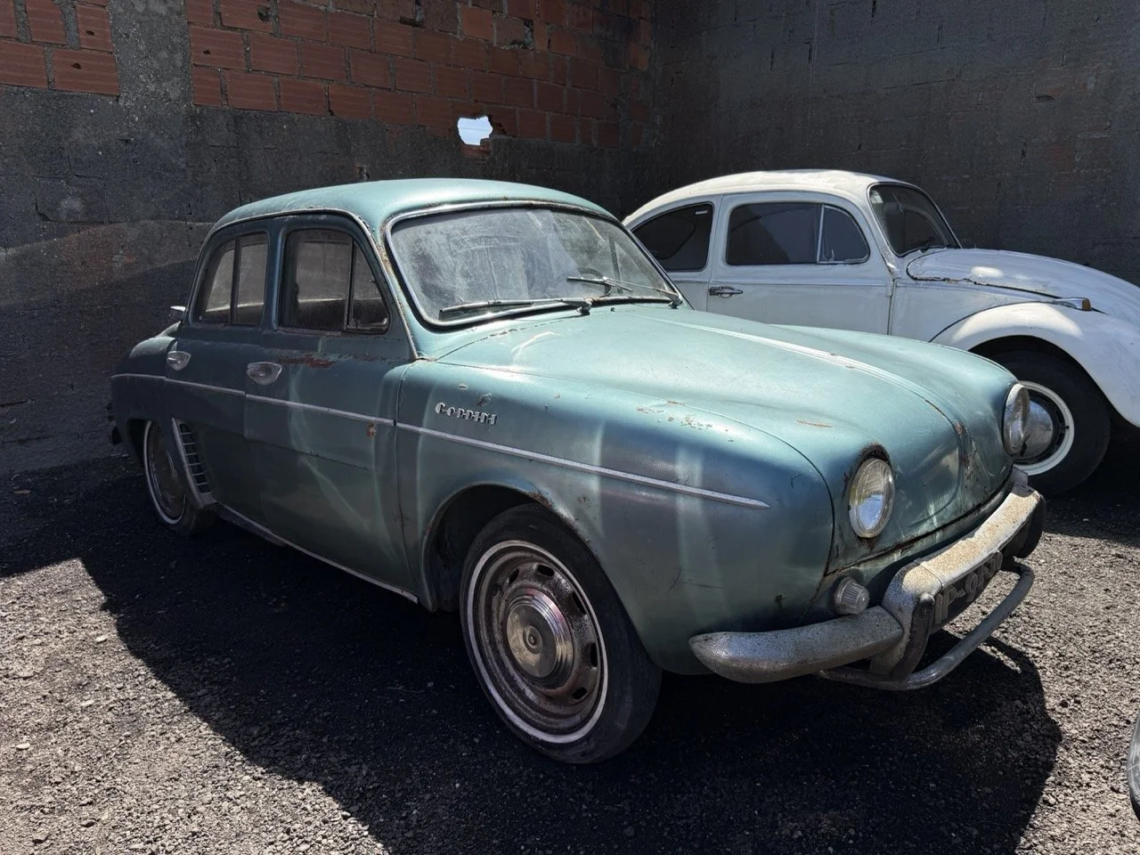 IMG_0818 – grande.jpeg