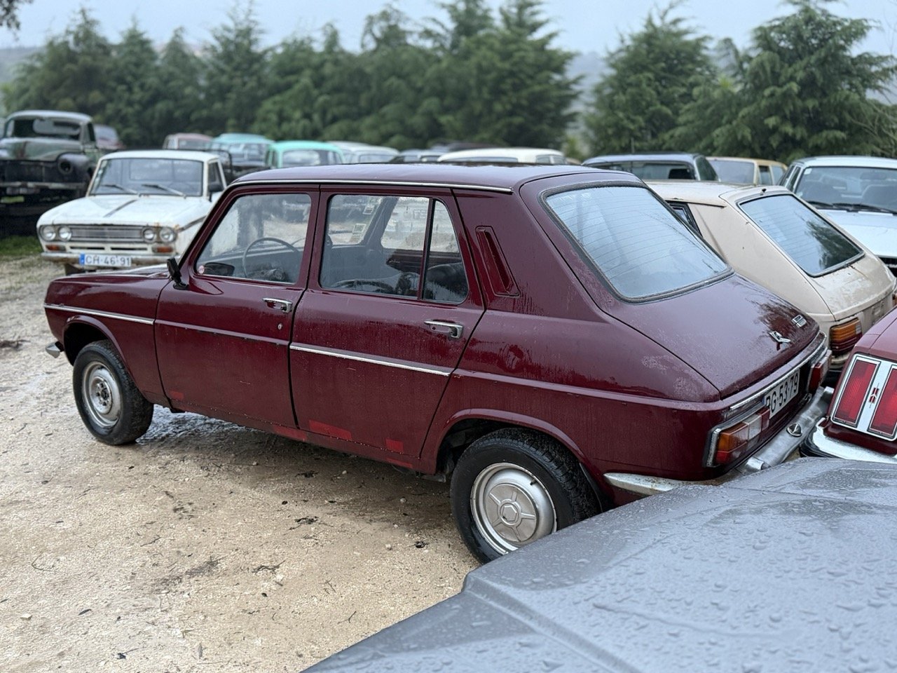 IMG_0270 – grande.jpeg