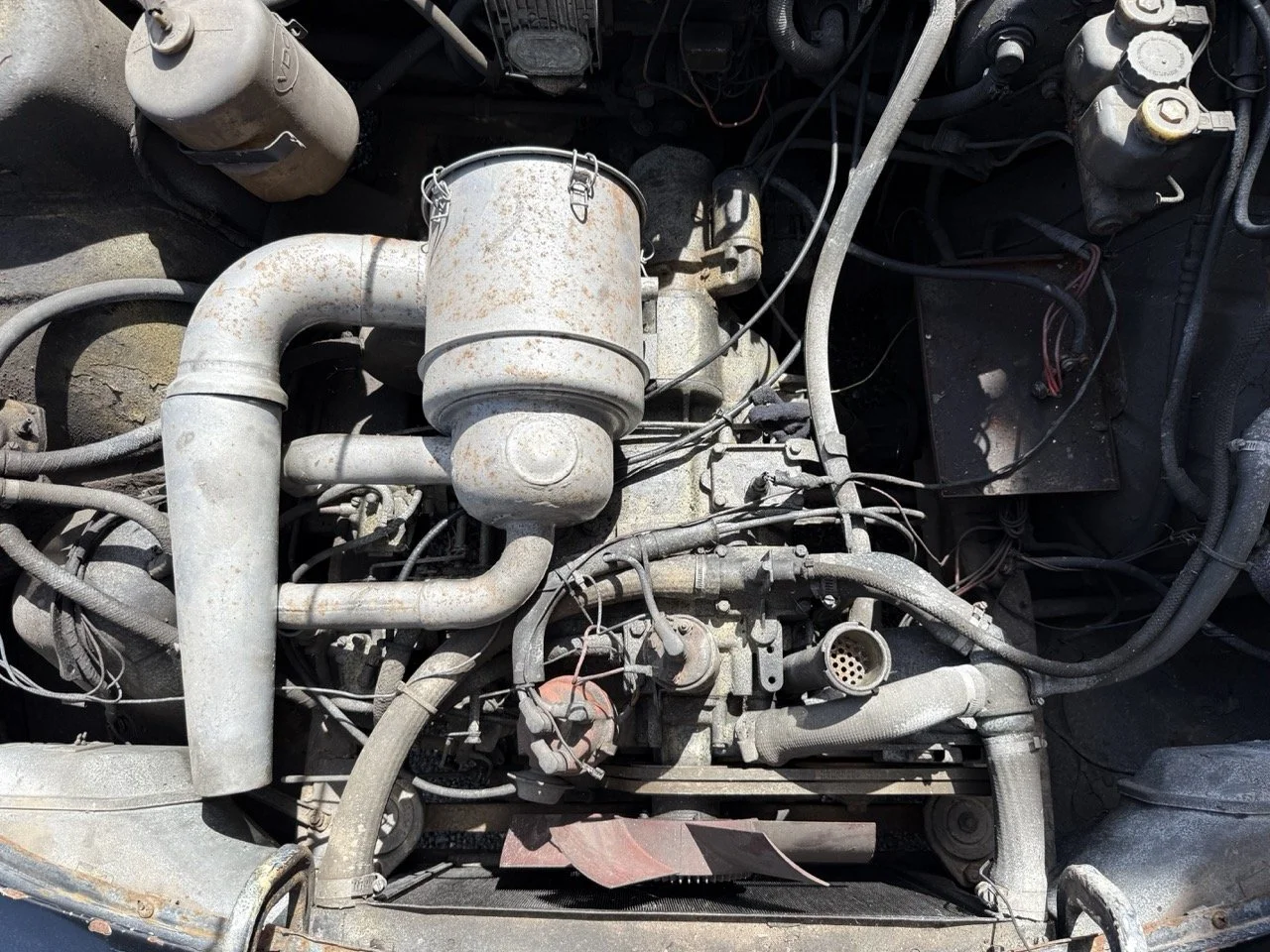 IMG_0569 – grande.jpeg