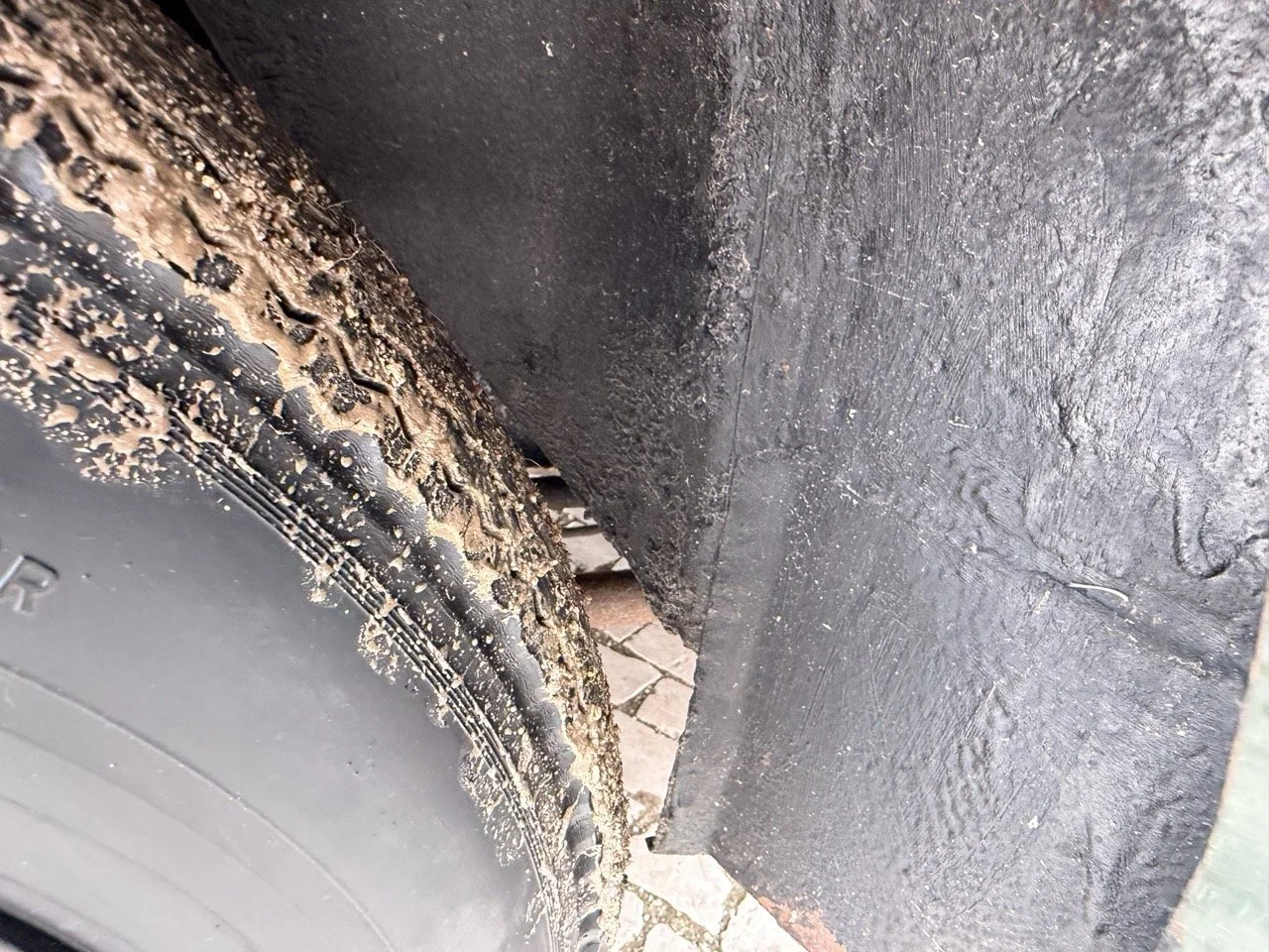 IMG_9884 – grande.jpeg