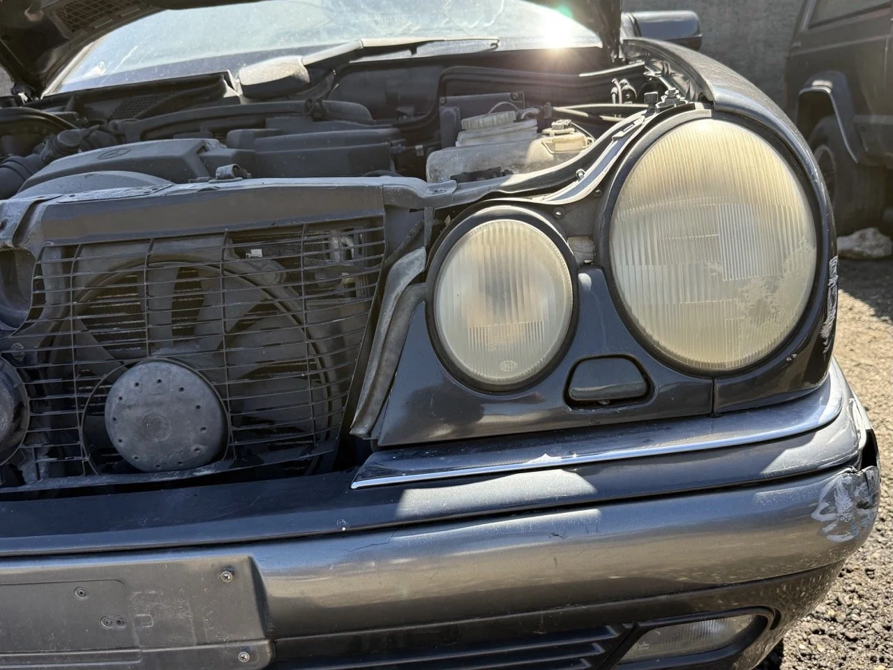 IMG_1788 – grande.jpeg