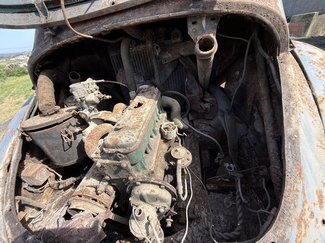 IMG_0310 – grande.jpeg