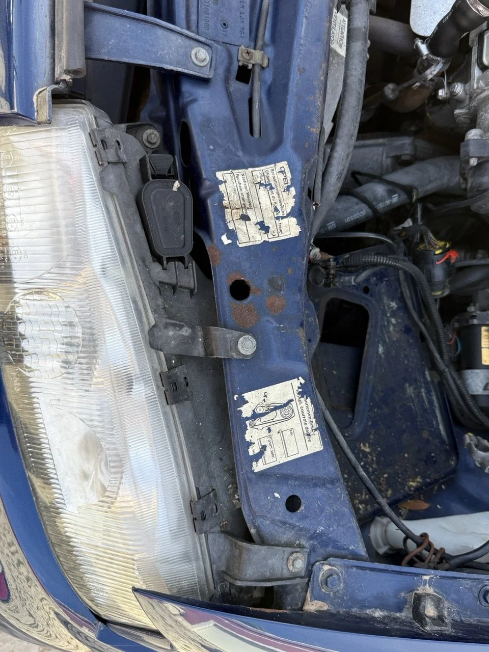 IMG_2433 – grande.jpeg