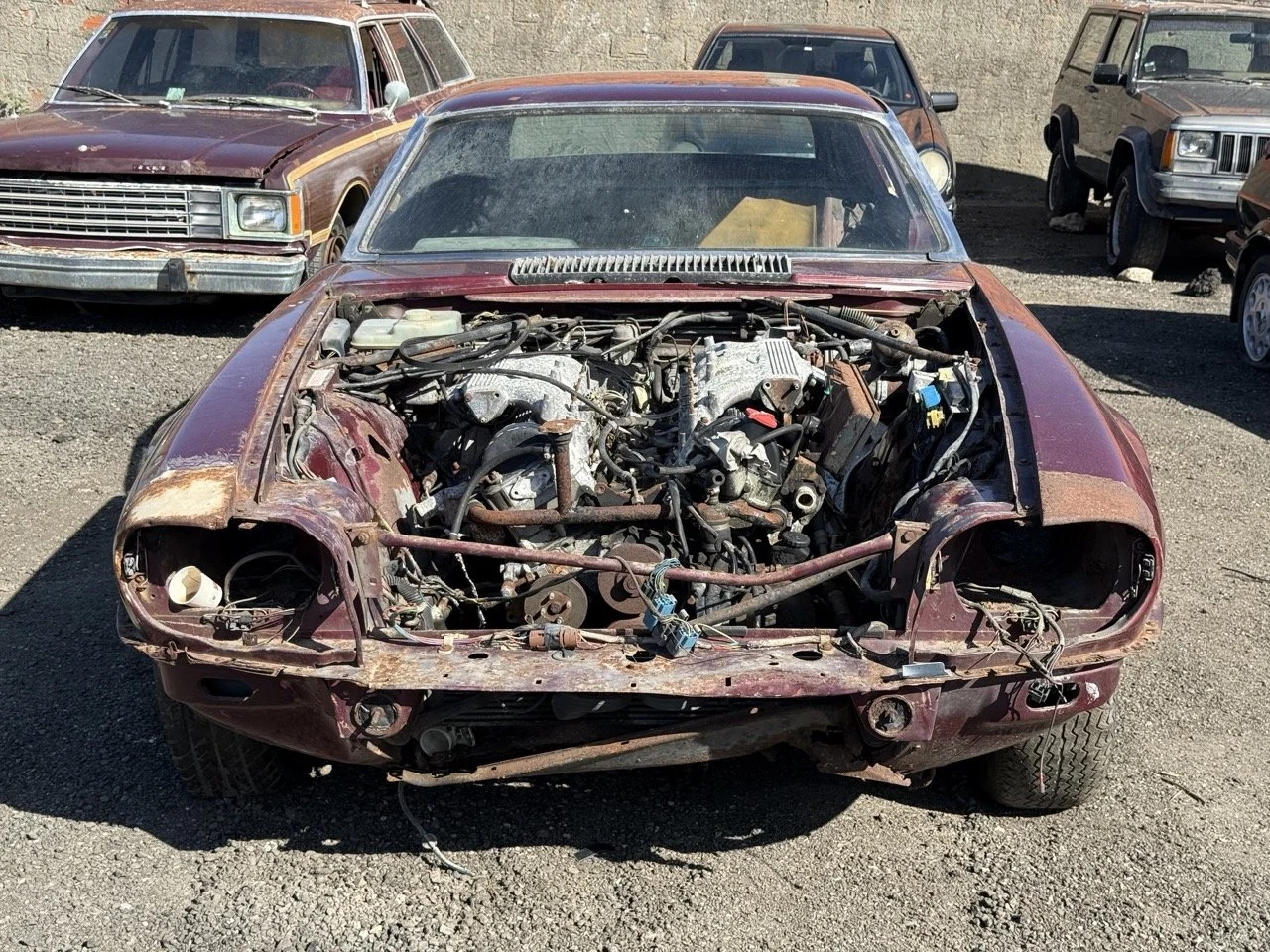 IMG_2966 – grande.jpeg