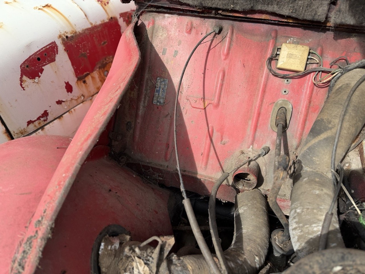 IMG_3862 – grande.jpeg