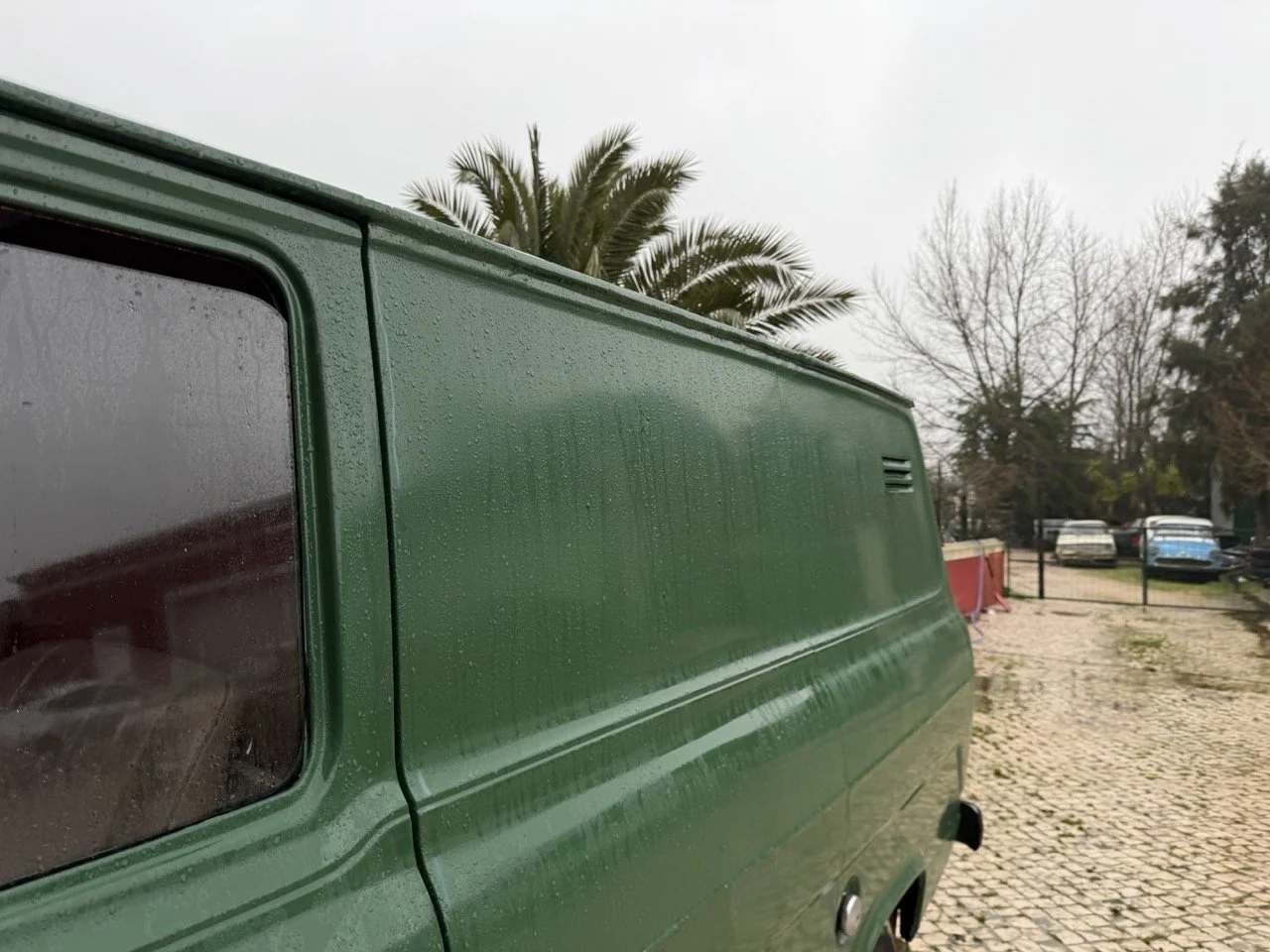 IMG_9974 – grande.jpeg