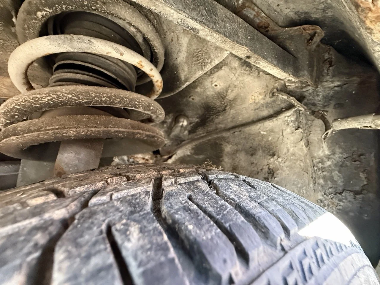 IMG_2944 – grande.jpeg