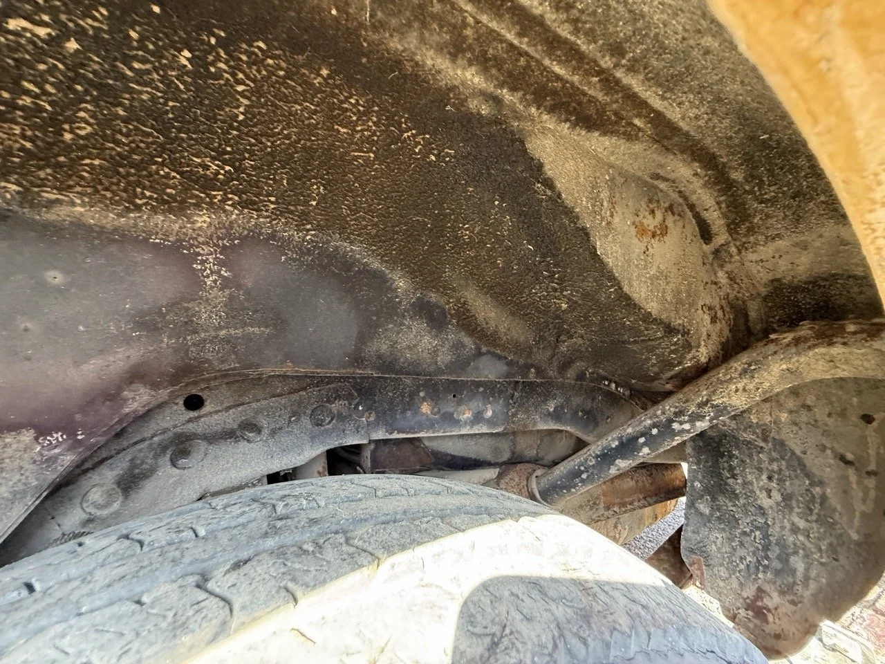 IMG_3067 – grande.jpeg