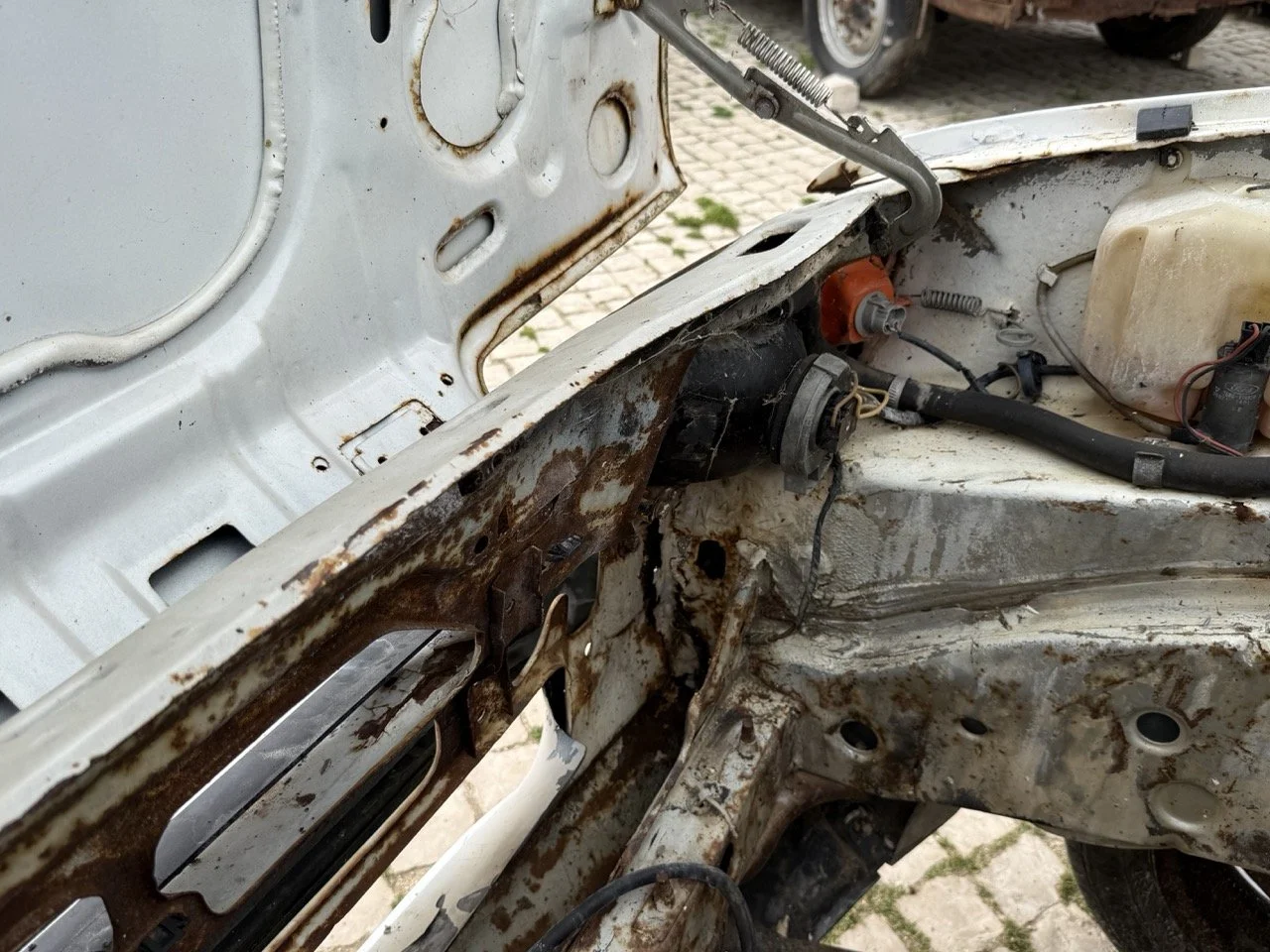 IMG_8566 – grande.jpeg