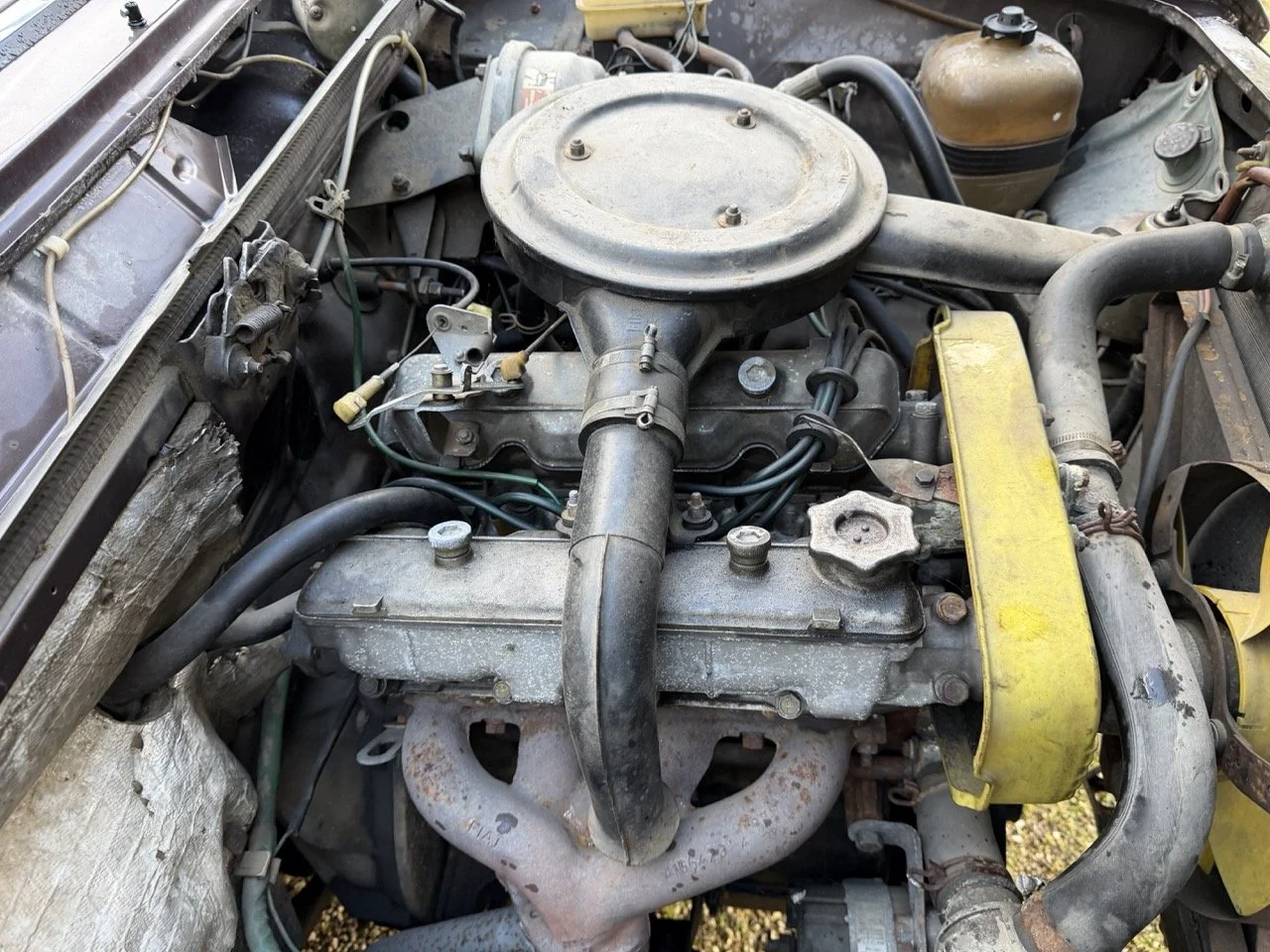 IMG_5283 – grande.jpeg