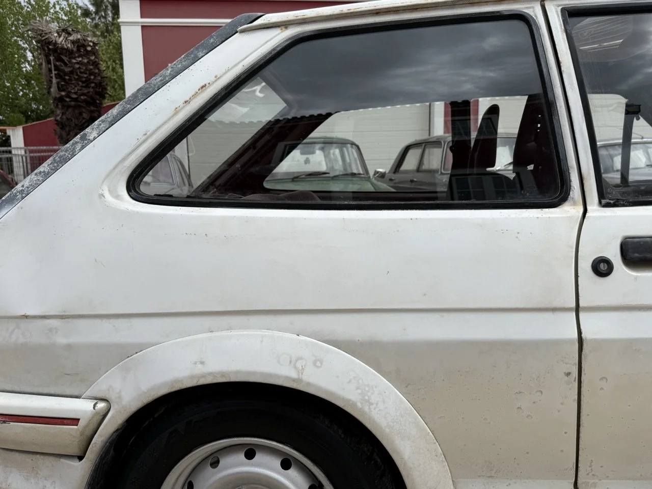 IMG_8598 – grande.jpeg