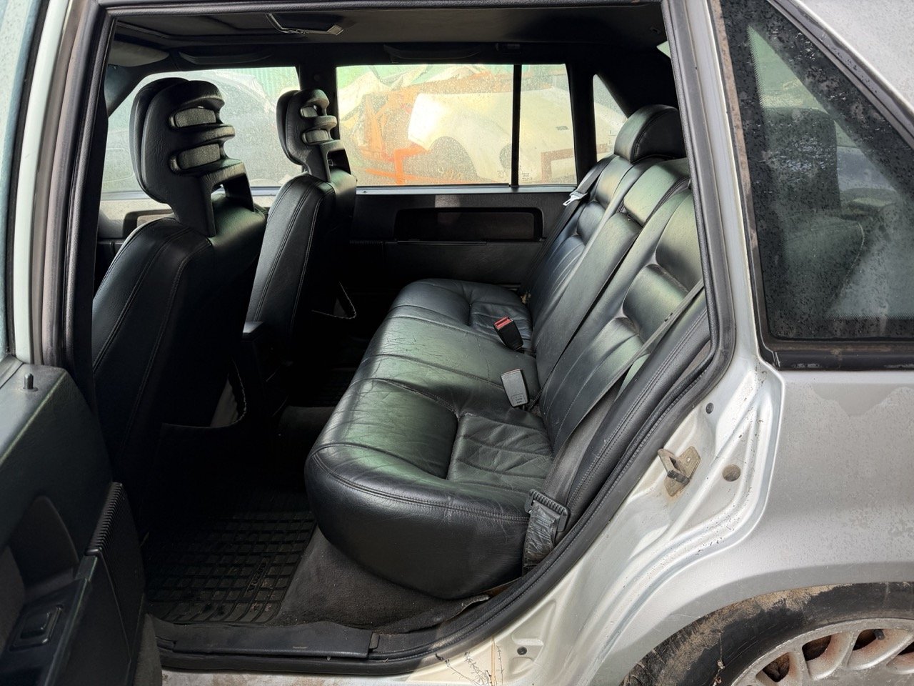 IMG_5756 – grande.jpeg