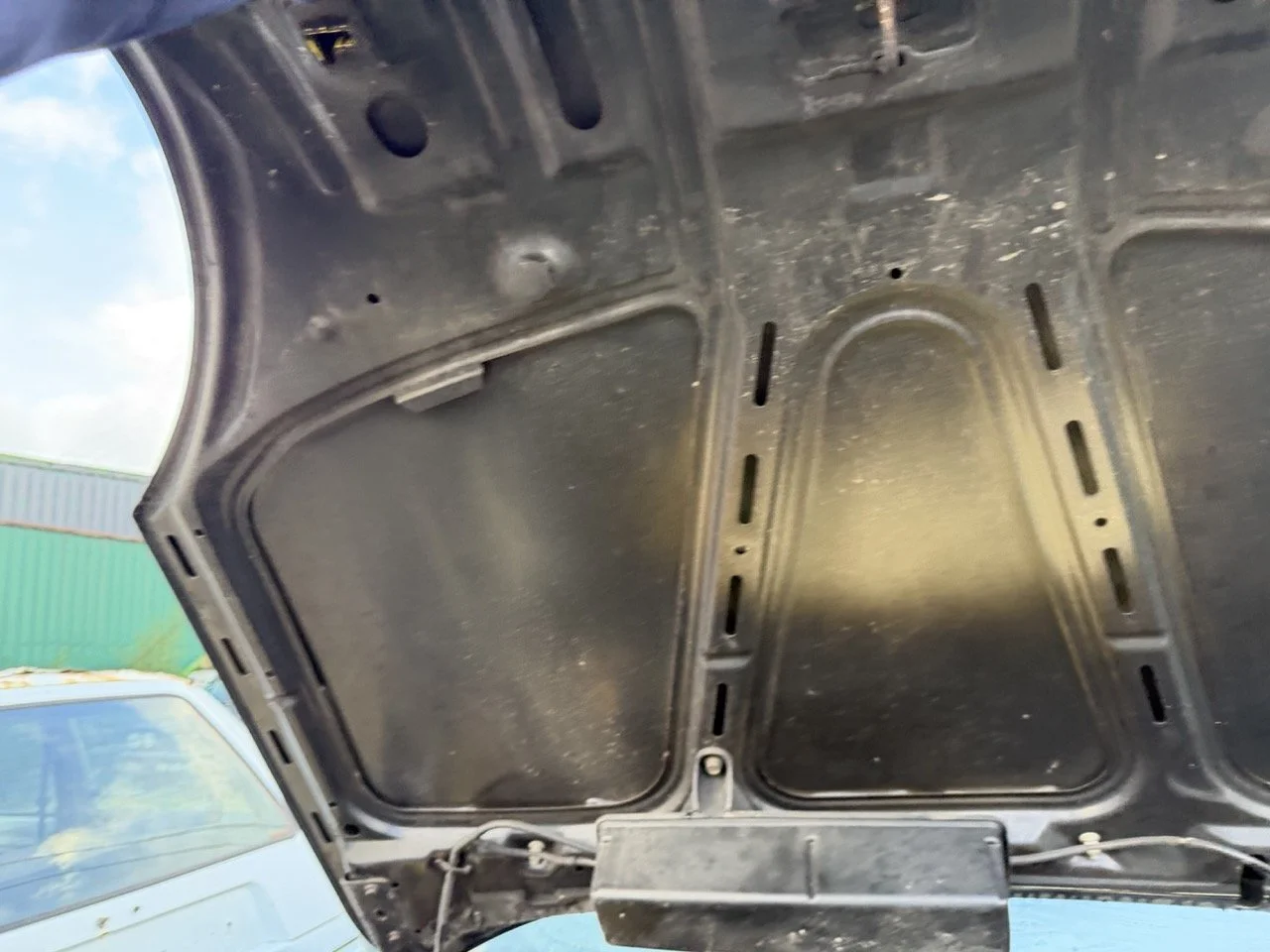 IMG_5321 – grande.jpeg