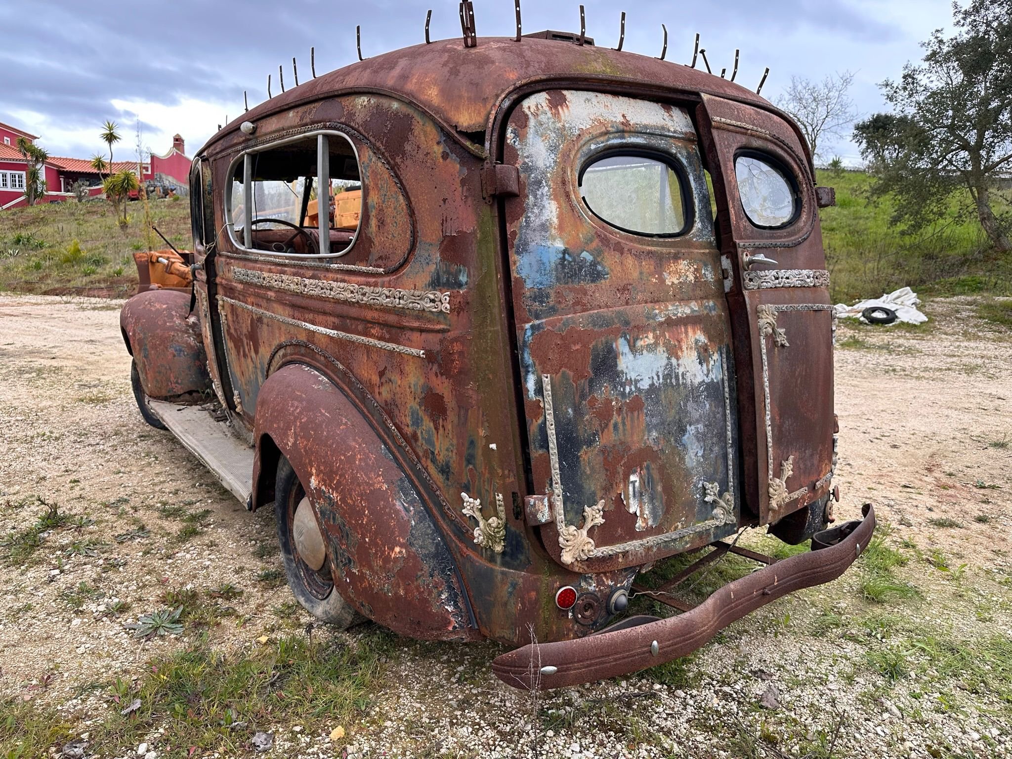 PHOTO-2026-03-05-20-04-38 3.jpg