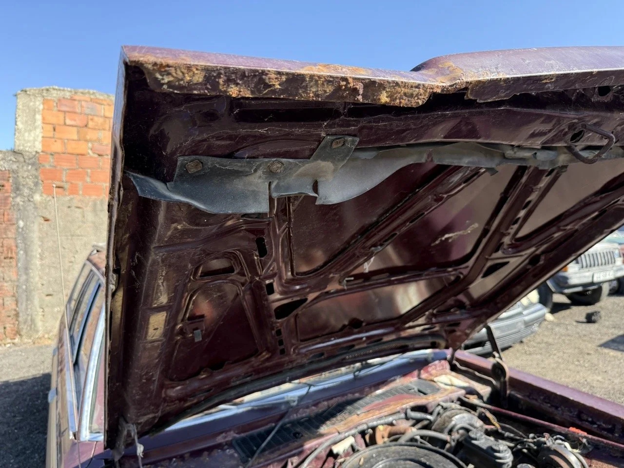 IMG_3039 – grande.jpeg