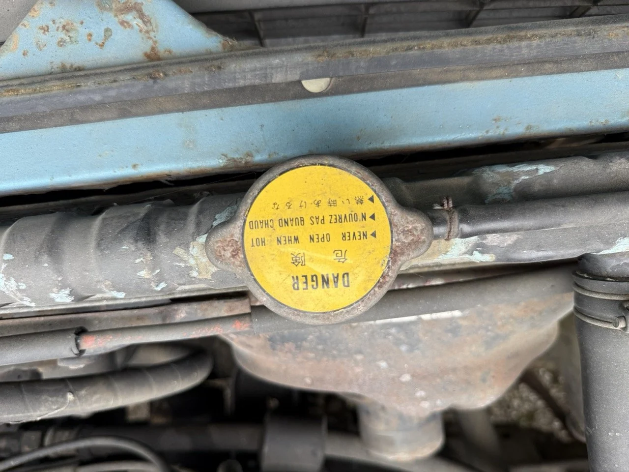 IMG_1520 – grande.jpeg