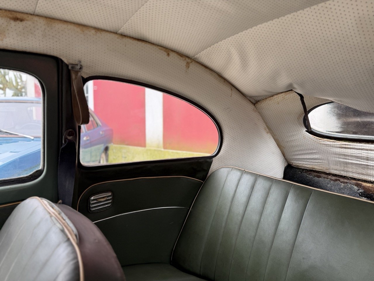 IMG_1125 – grande.jpeg