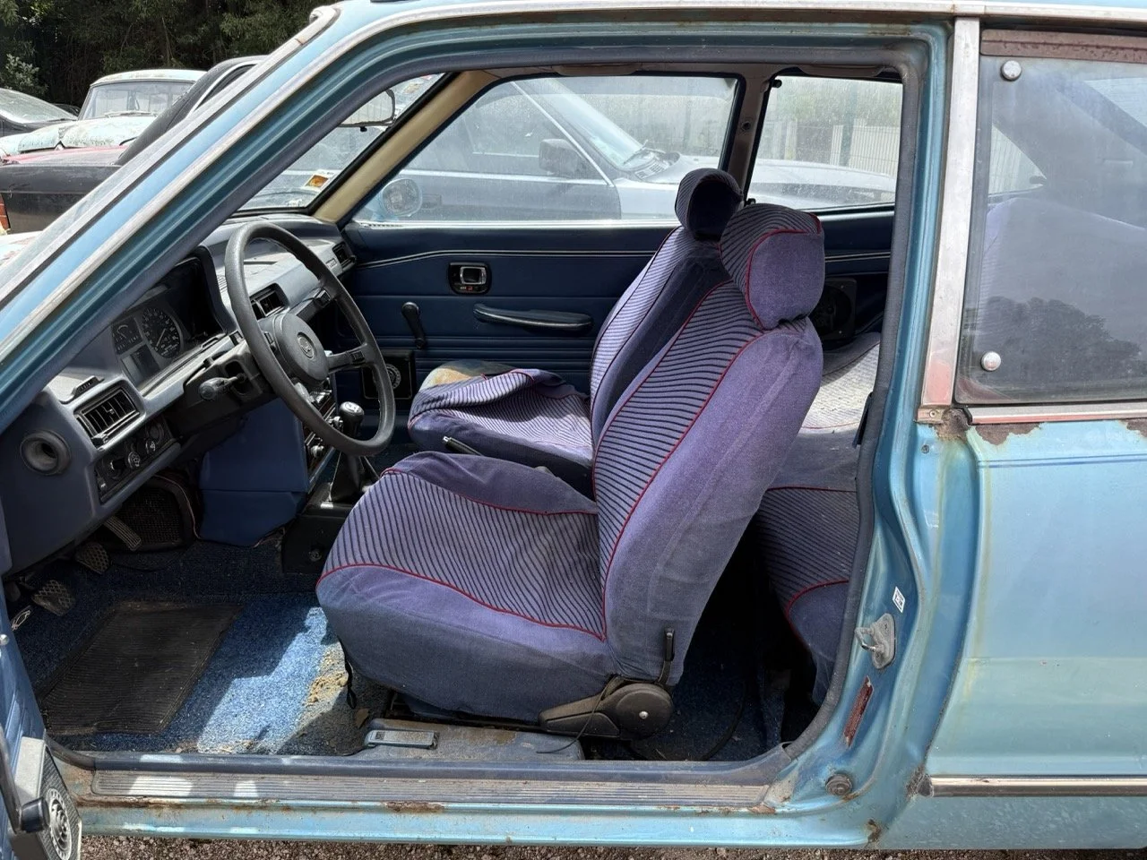 IMG_1503 – grande.jpeg