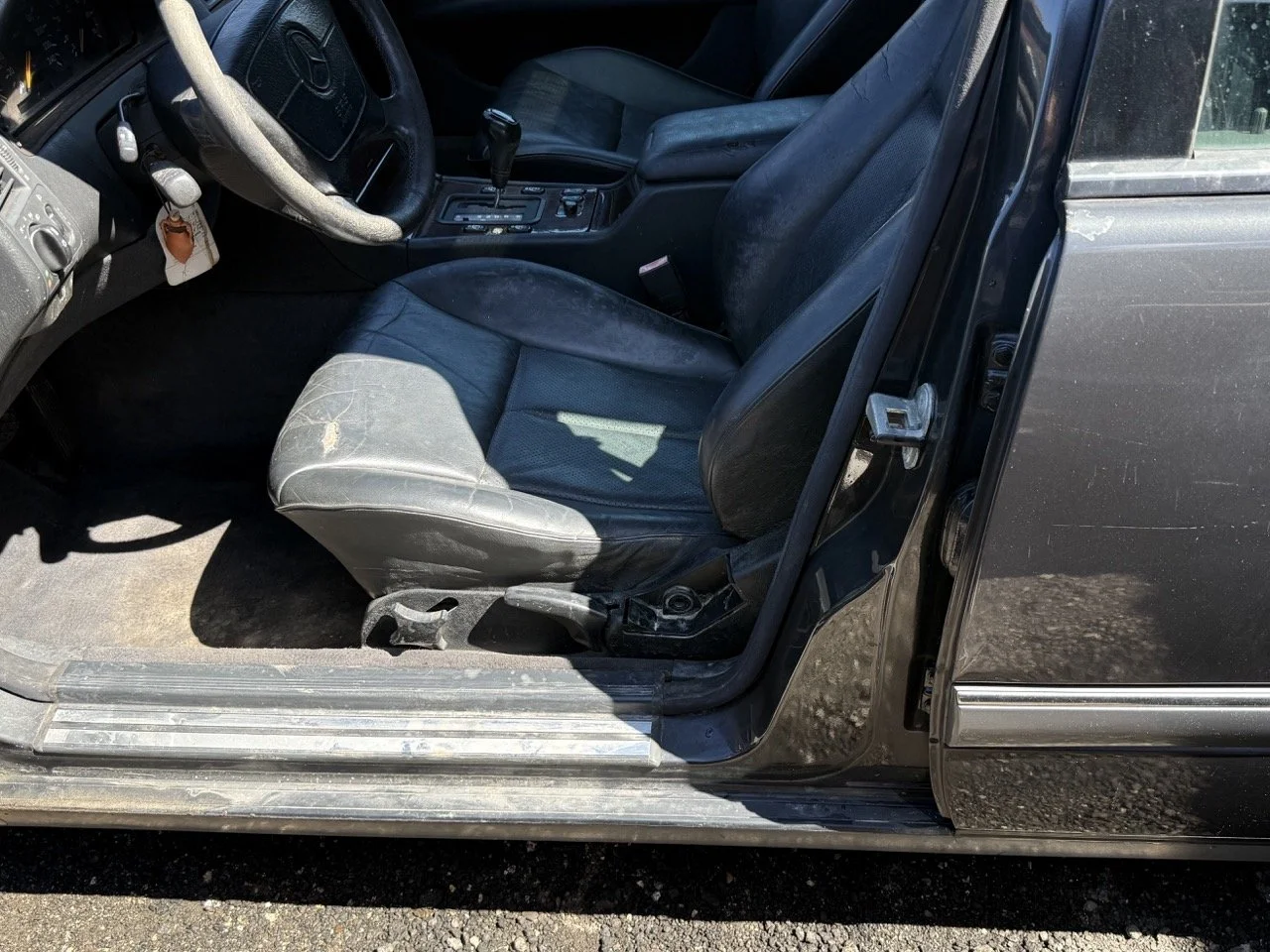 IMG_1743 – grande.jpeg