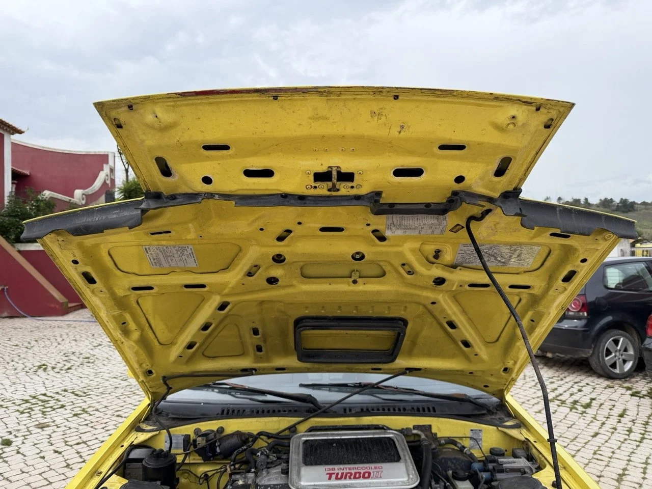 IMG_9755 – grande.jpeg