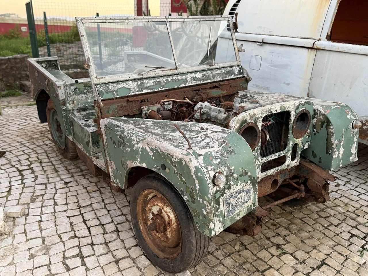 IMG_7429 – grande.jpeg