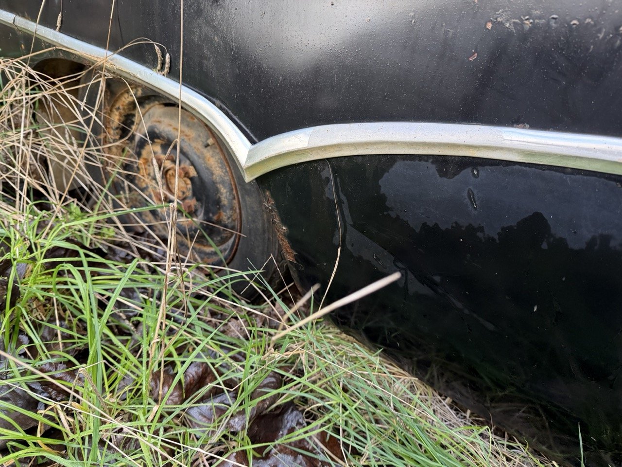 IMG_5042 – grande.jpeg