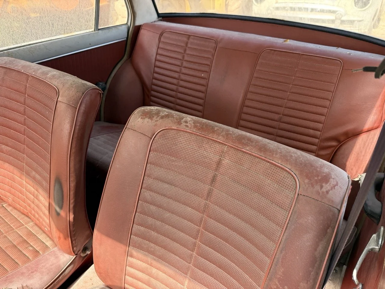 IMG_3230 – grande.jpeg